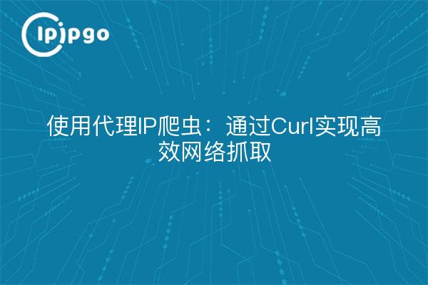 使用代理IP爬虫：通过Curl实现高效网络抓取