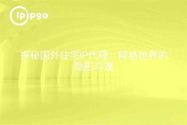 探秘国外住宅IP代理：网络世界的隐形斗篷