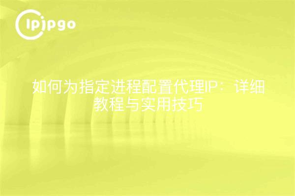 如何为指定进程配置代理IP：详细教程与实用技巧