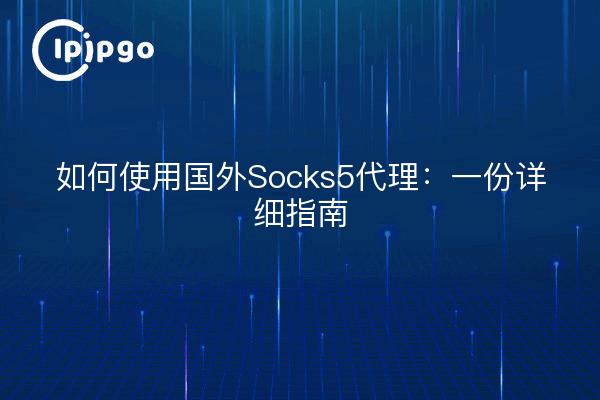 如何使用国外Socks5代理：一份详细指南