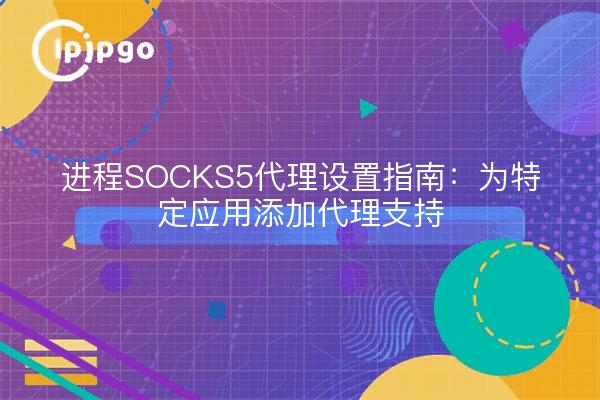 进程SOCKS5代理设置指南：为特定应用添加代理支持