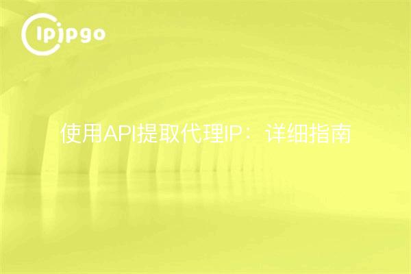 使用API提取代理IP：详细指南