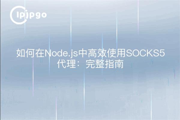 Cómo utilizar eficazmente los proxies SOCKS5 en Node.js: una guía completa