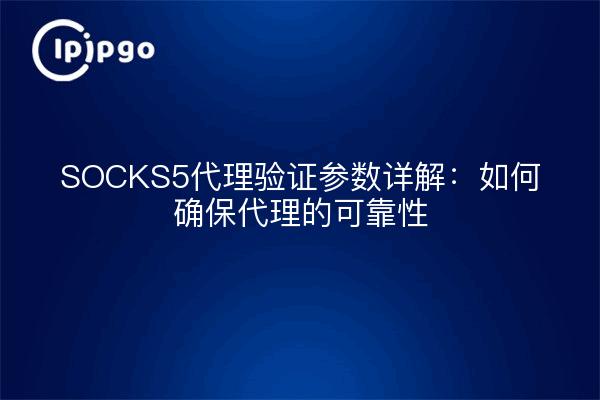 SOCKS5代理验证参数详解：如何确保代理的可靠性