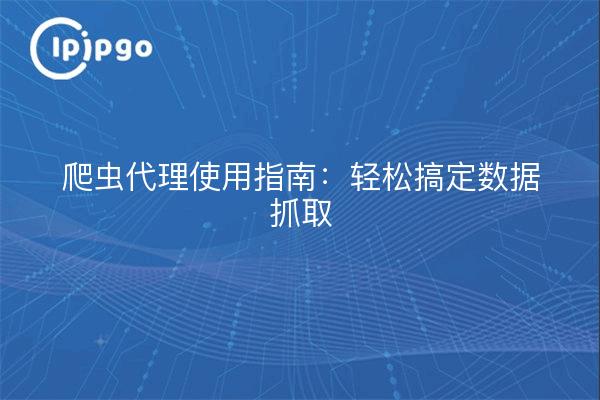 爬虫代理使用指南：轻松搞定数据抓取