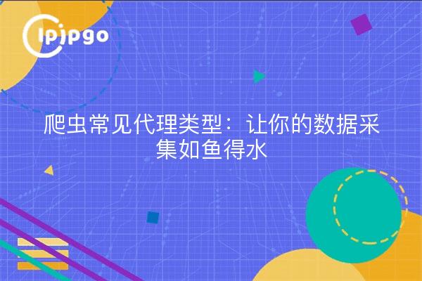 爬虫常见代理类型：让你的数据采集如鱼得水