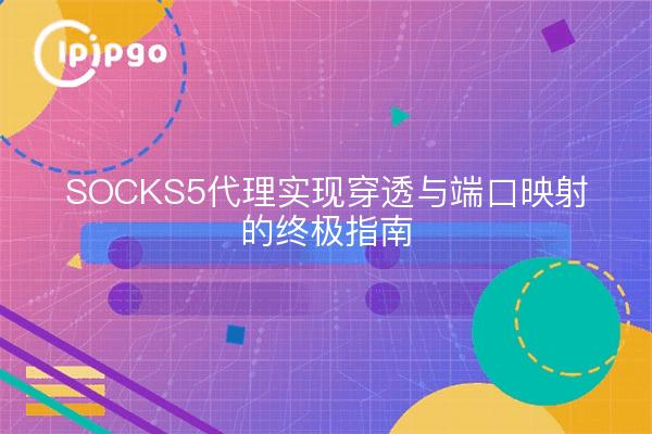 SOCKS5代理实现穿透与端口映射的终极指南