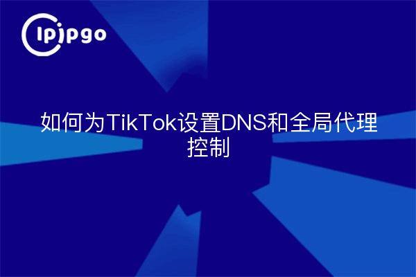 How to set up DNS and global proxy control for TikTok