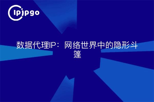 数据代理IP：网络世界中的隐形斗篷