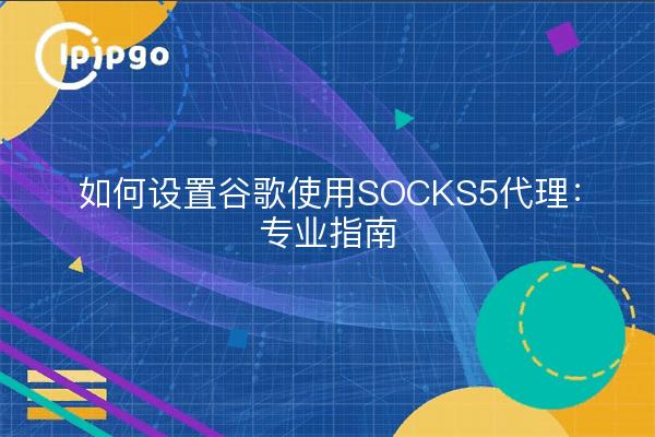 如何设置谷歌使用SOCKS5代理：专业指南