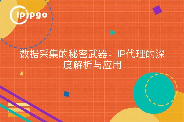 数据采集的秘密武器：IP代理的深度解析与应用