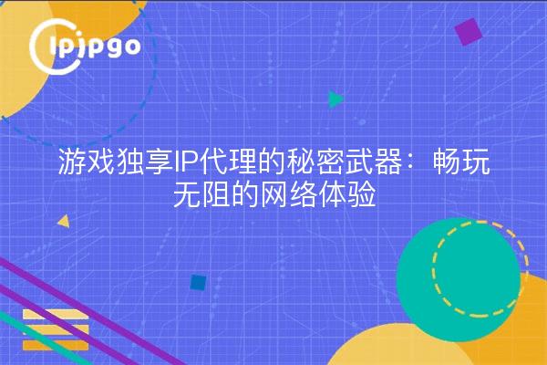 游戏独享IP代理的秘密武器：畅玩无阻的网络体验