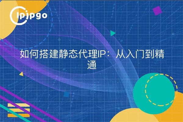 如何搭建静态代理IP：从入门到精通