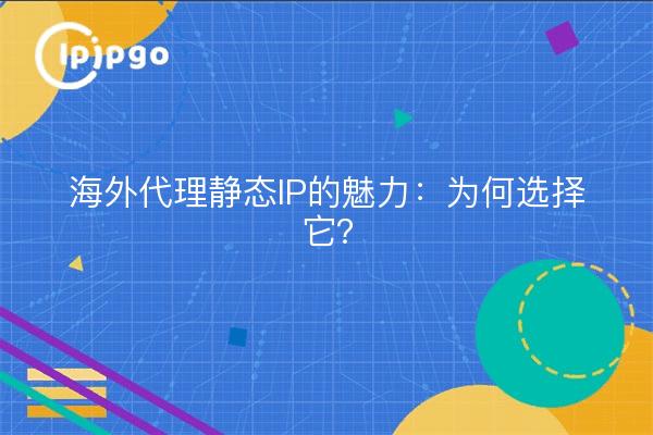 海外代理静态IP的魅力：为何选择它？