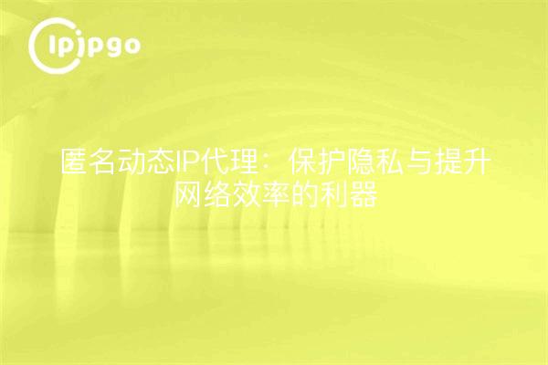 匿名动态IP代理：保护隐私与提升网络效率的利器