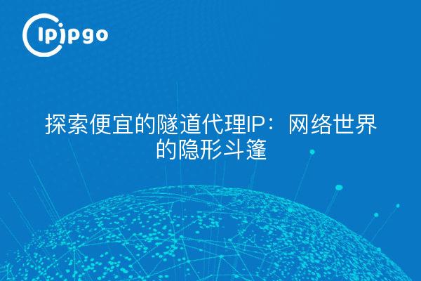 探索便宜的隧道代理IP：网络世界的隐形斗篷