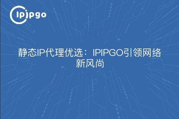 Statischer IP-Proxy bevorzugt: IPIPGO führt den neuen Stil des Networking an