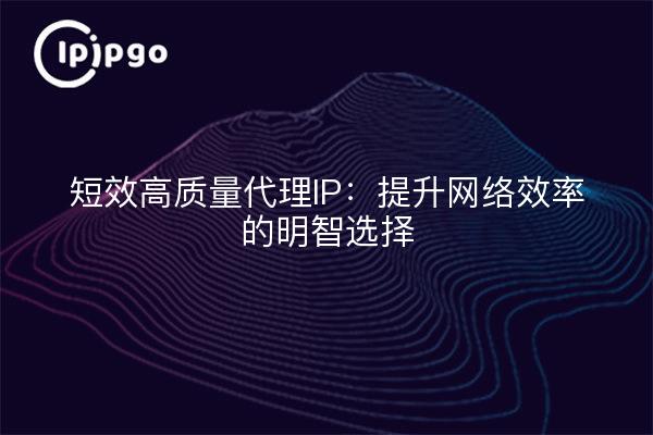 短效高质量代理IP：提升网络效率的明智选择