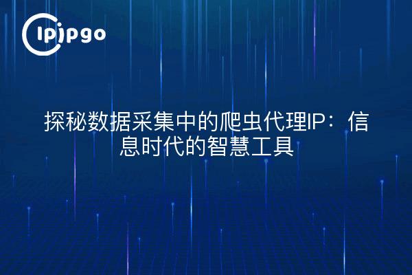 探秘数据采集中的爬虫代理IP：信息时代的智慧工具