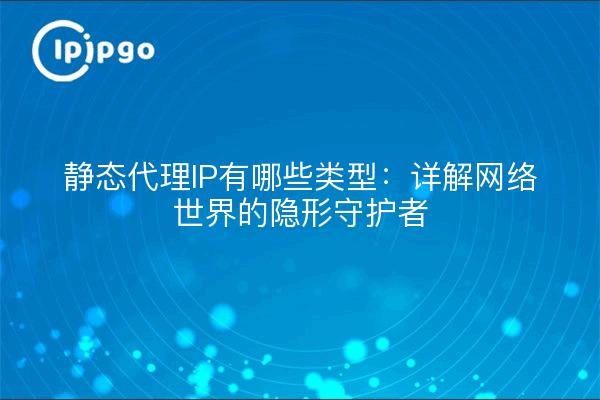 静态代理IP有哪些类型：详解网络世界的隐形守护者