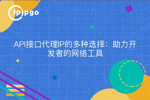 API接口代理IP的多种选择：助力开发者的网络工具