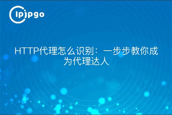 HTTP代理怎么识别：一步步教你成为代理达人