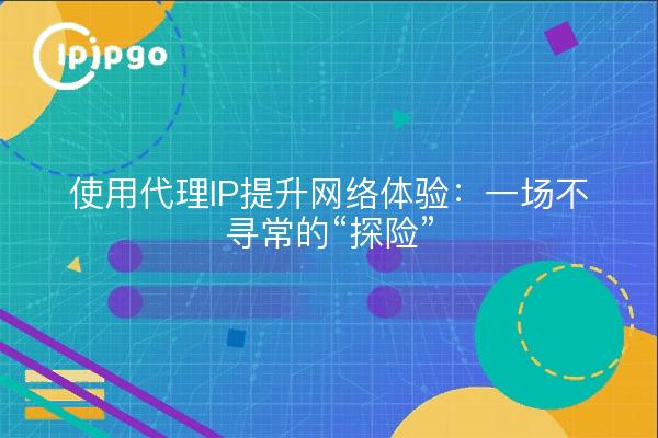 使用代理IP提升网络体验：一场不寻常的“探险”