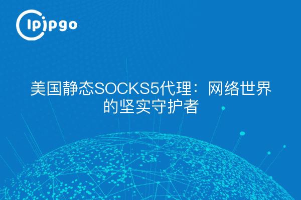 美国静态SOCKS5代理：网络世界的坚实守护者