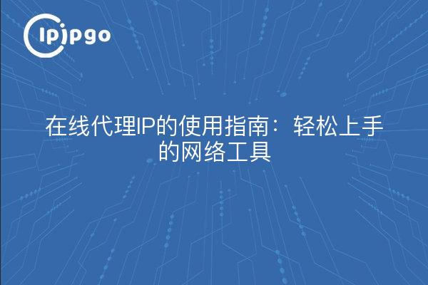 在线代理IP的使用指南：轻松上手的网络工具