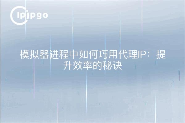 模拟器进程中如何巧用代理IP：提升效率的秘诀