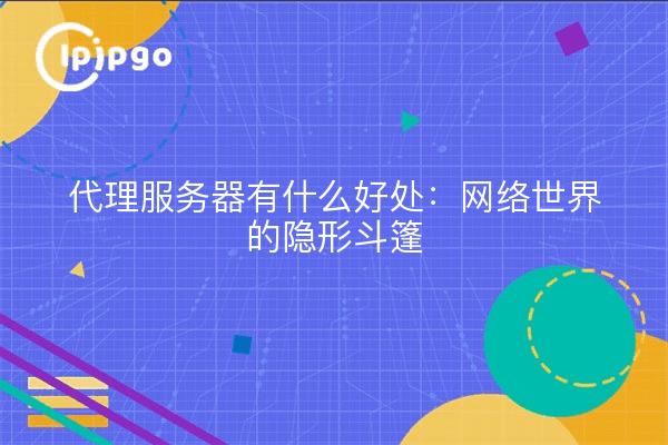 代理服务器有什么好处：网络世界的隐形斗篷