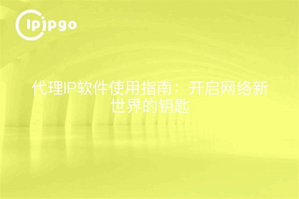 代理IP软件使用指南：开启网络新世界的钥匙