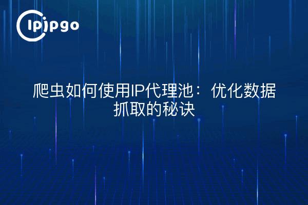 爬虫如何使用IP代理池：优化数据抓取的秘诀