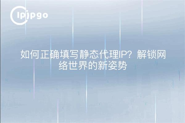 如何正确填写静态代理IP？解锁网络世界的新姿势