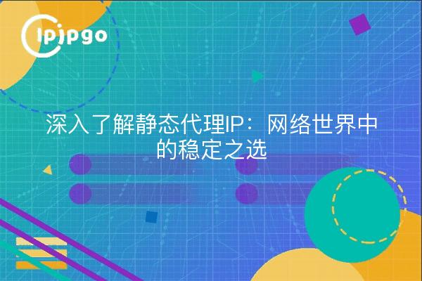 深入了解静态代理IP：网络世界中的稳定之选