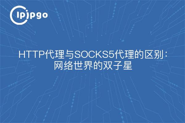 HTTP代理与SOCKS5代理的区别：网络世界的双子星