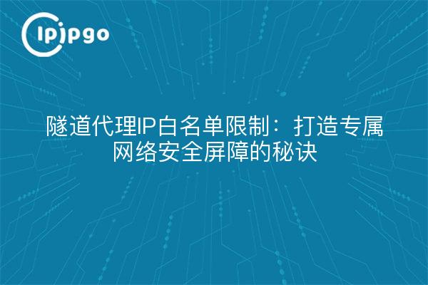 隧道代理IP白名单限制：打造专属网络安全屏障的秘诀