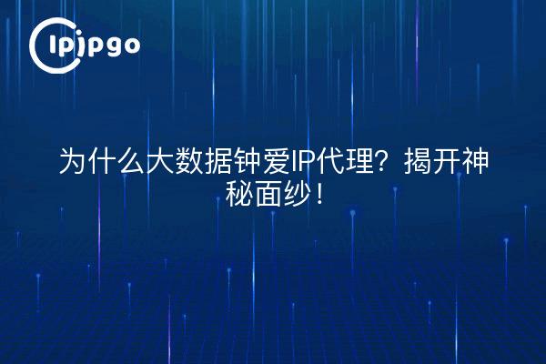 为什么大数据钟爱IP代理？揭开神秘面纱！