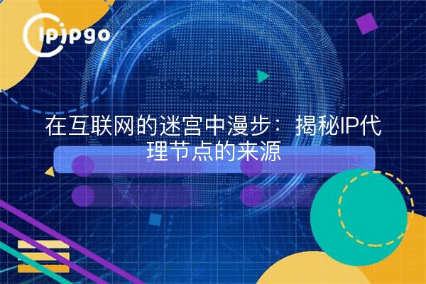 在互联网的迷宫中漫步：揭秘IP代理节点的来源