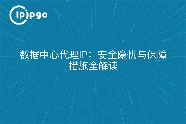 数据中心代理IP：安全隐忧与保障措施全解读