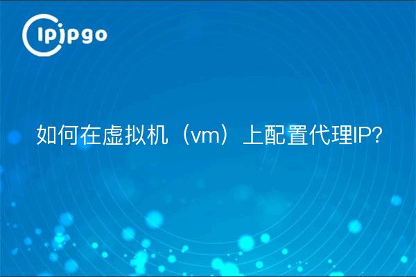 如何在虚拟机（vm）上配置代理IP？