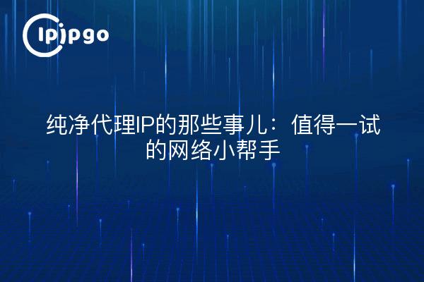 纯净代理IP的那些事儿：值得一试的网络小帮手