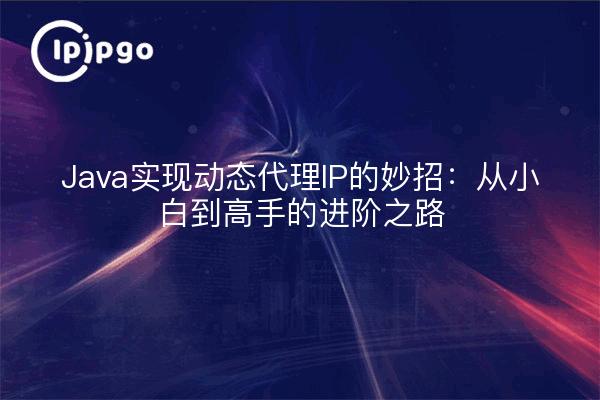 Java实现动态代理IP的妙招：从小白到高手的进阶之路