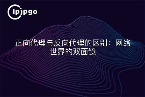 正向代理与反向代理的区别：网络世界的双面镜