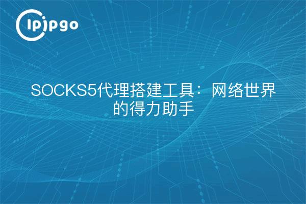 SOCKS5代理搭建工具：网络世界的得力助手