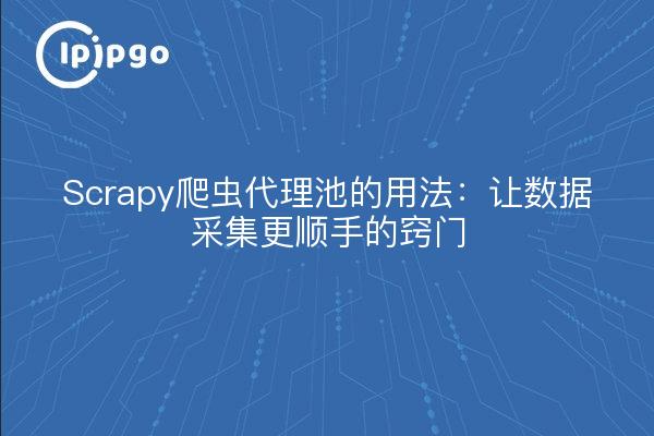 Scrapy爬虫代理池的用法：让数据采集更顺手的窍门