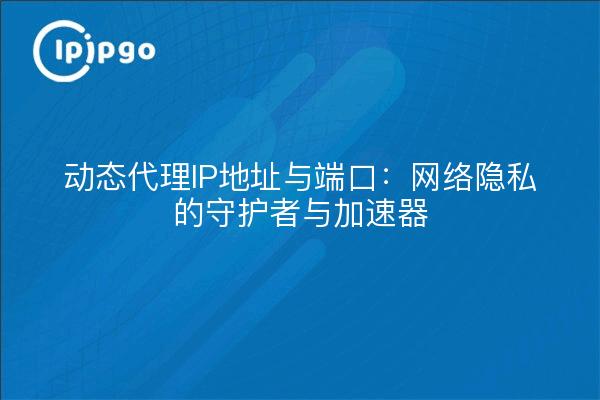 动态代理IP地址与端口：网络隐私的守护者与加速器