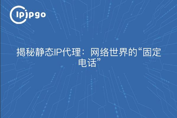 揭秘静态IP代理：网络世界的“固定电话”