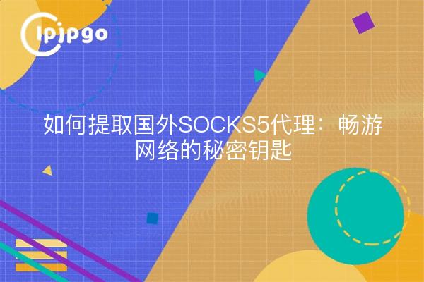 如何提取国外SOCKS5代理：畅游网络的秘密钥匙