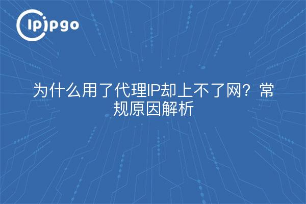 为什么用了代理IP却上不了网？常规原因解析